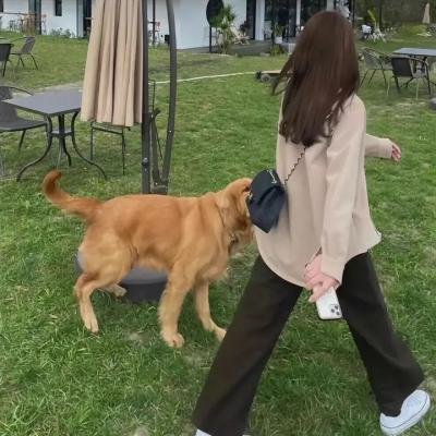 幸运的星