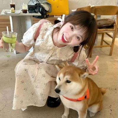 人生马戏团粤语